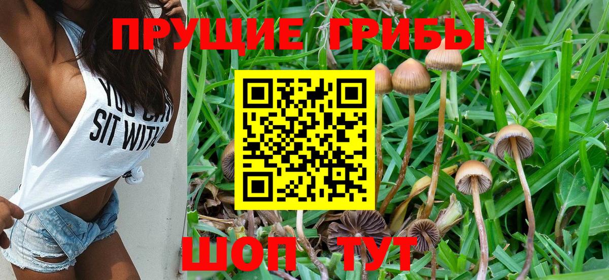 Галлюциногенные грибы MAGIC MUSHROOMS  Псилоцибиновые грибы ЛСД  Темрюк  Вход с VPN 