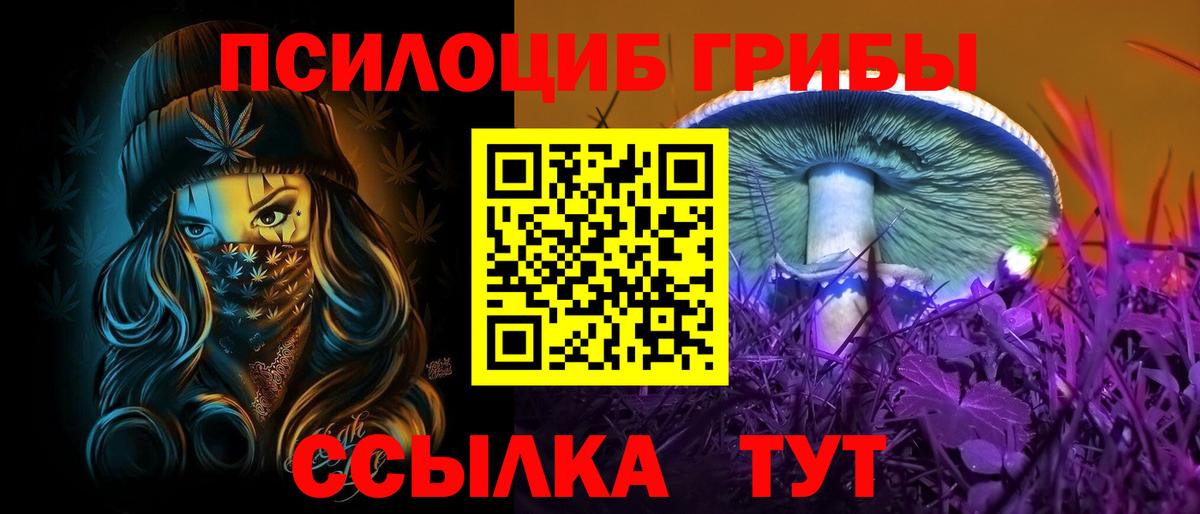 Псилоцибиновые грибы Psilocybe Темрюк