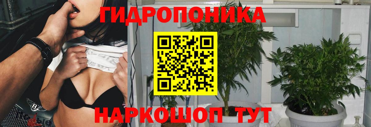 Бошки Шишки Ganja  Каннабис MAZAR  Вход с VPN  Темрюк  Конопля SATIVA & INDICA  Каннабис Amnesia 
